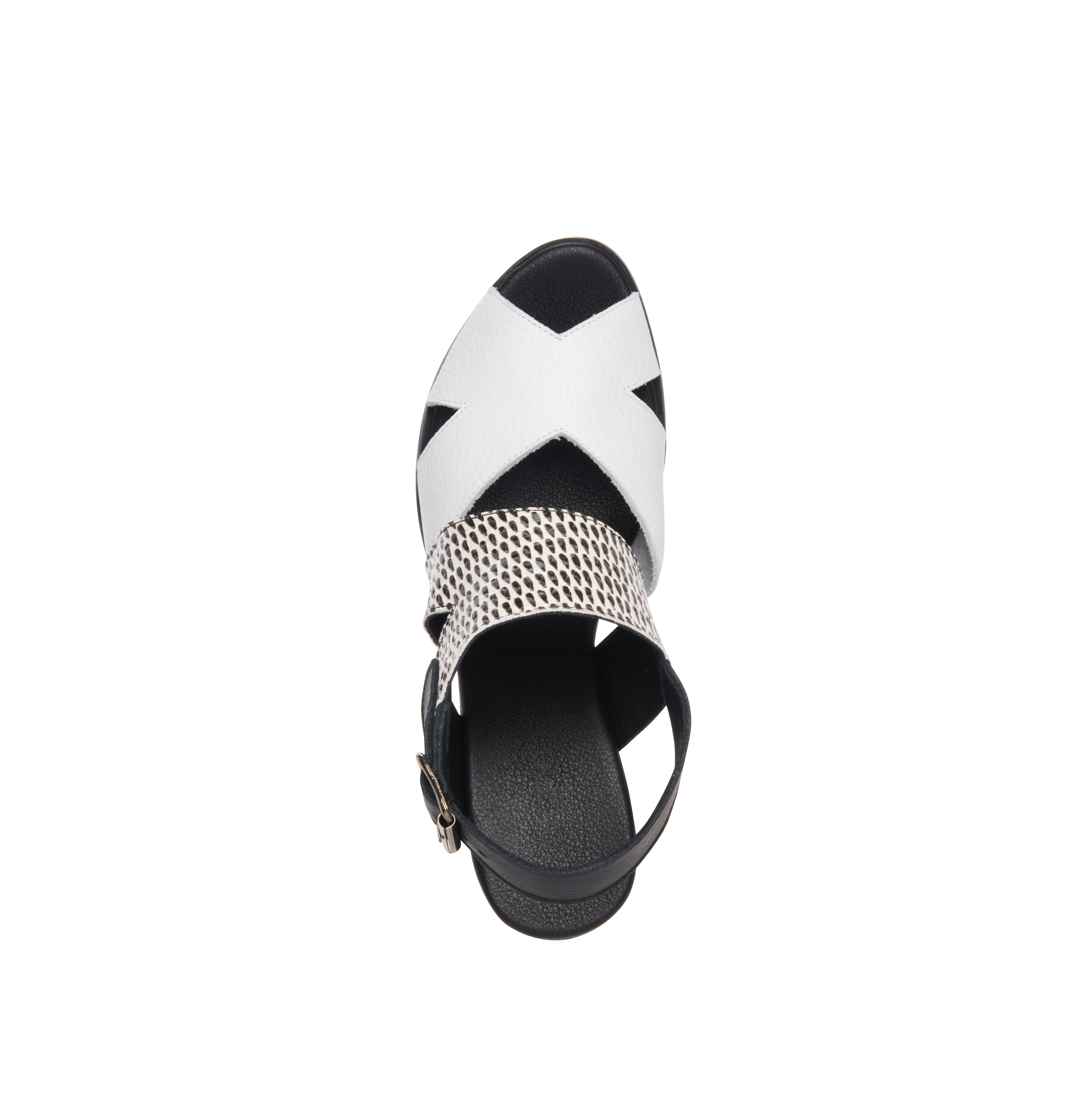 Arche / Egrini - Black