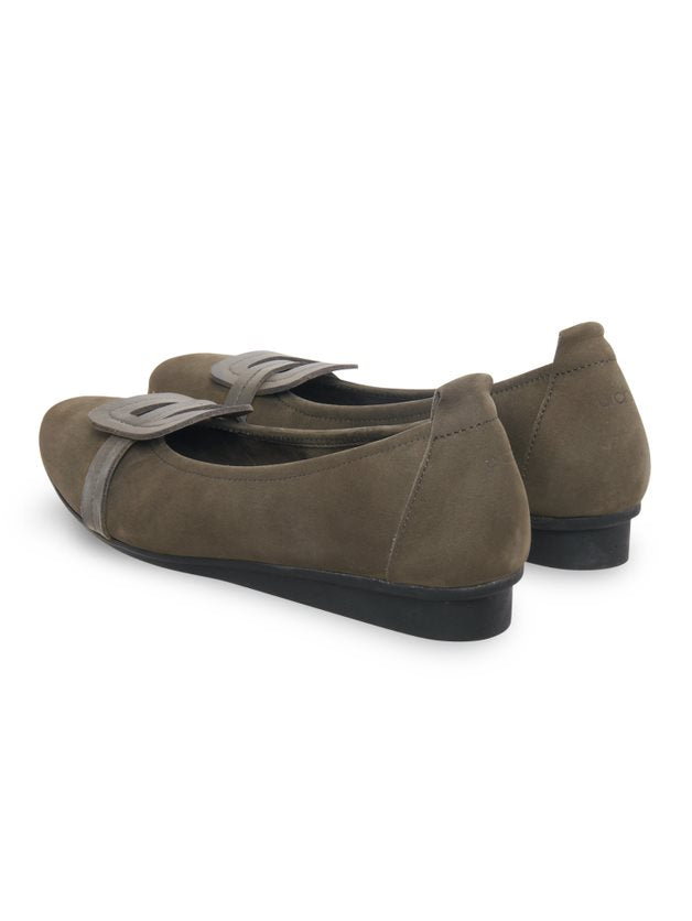 Arche / Nimmey - Castor