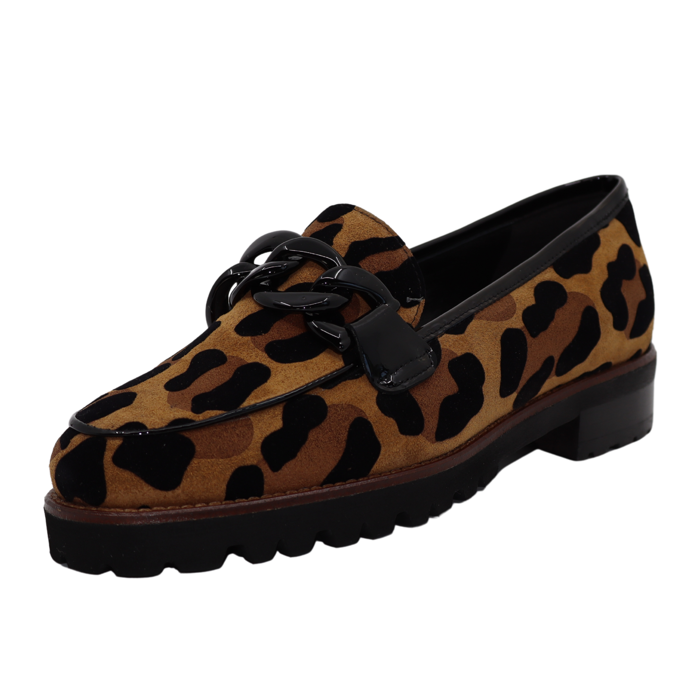 Luca Grossi / 550 - Animal