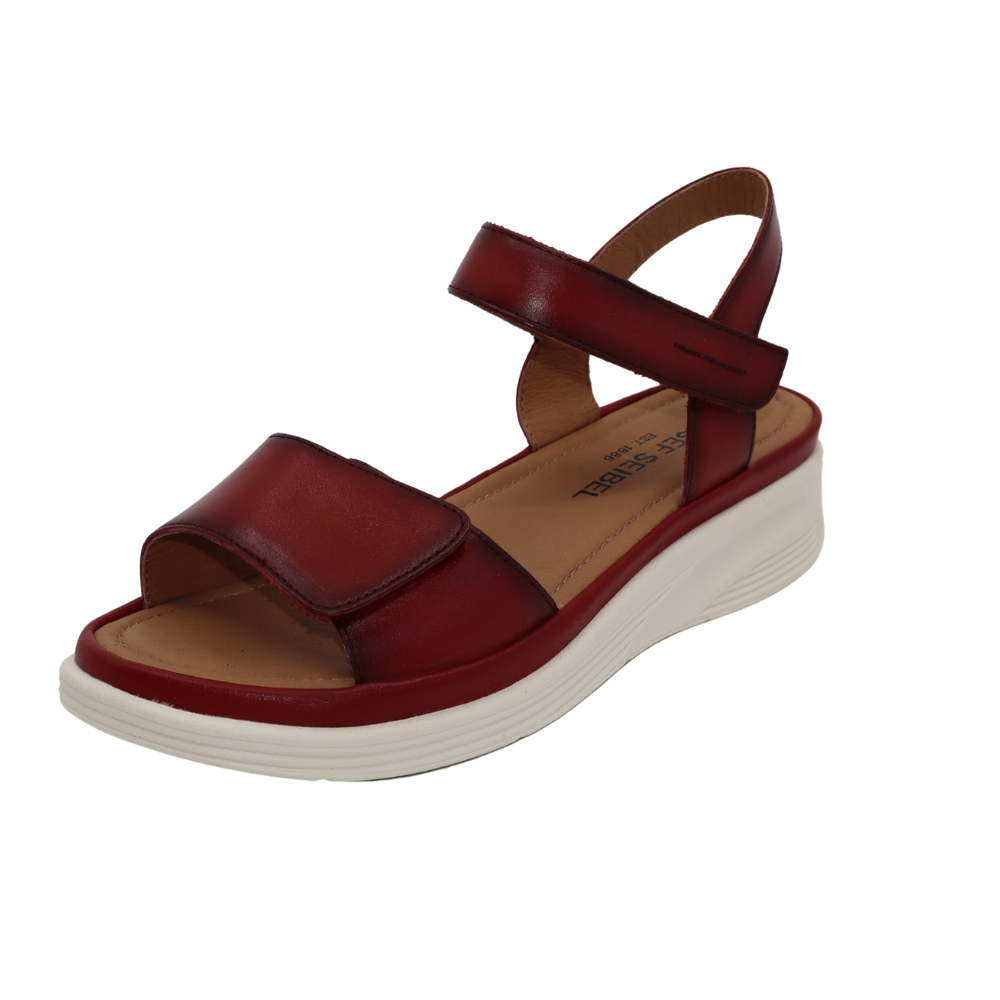 JOSEF SEIBEL / SEVRAN - hibiscus