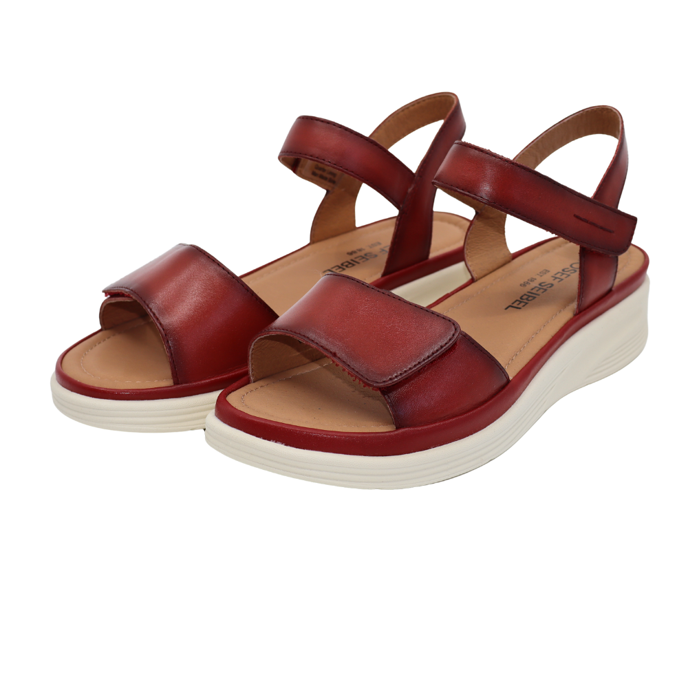 JOSEF SEIBEL / SEVRAN - hibiscus