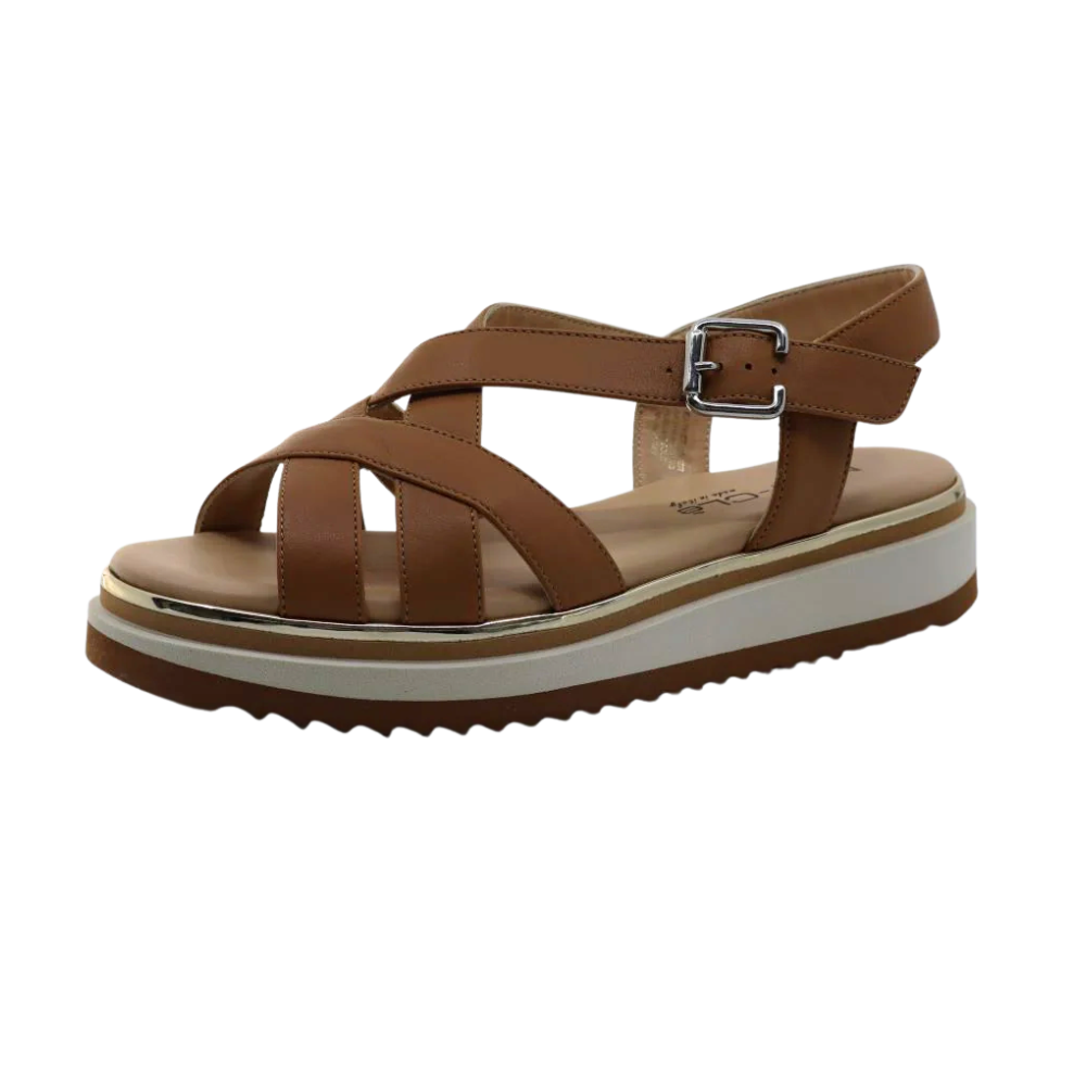 MOT-CLè / 1420 - Tan