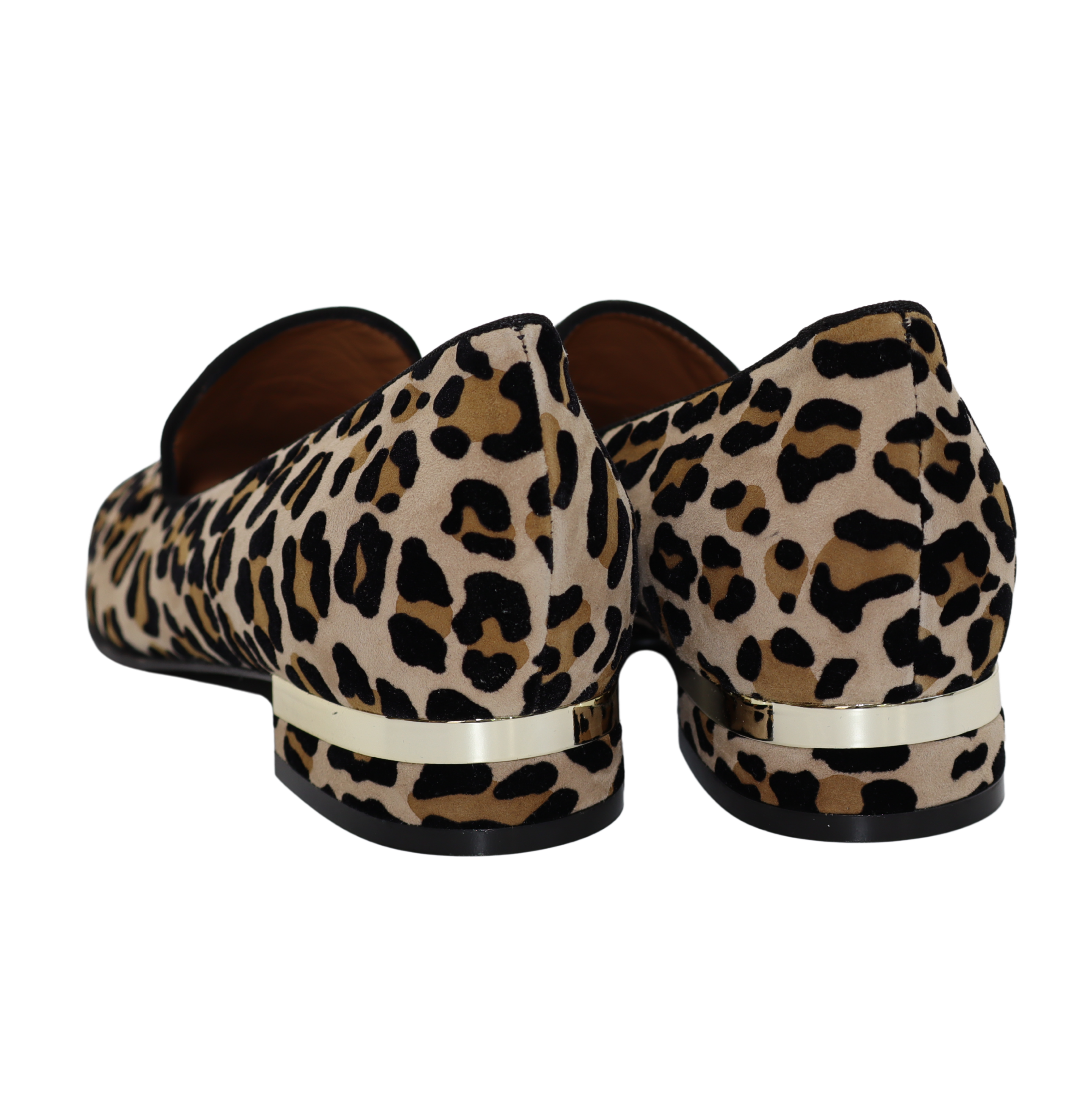 Mot Cle / 2165 - Animal