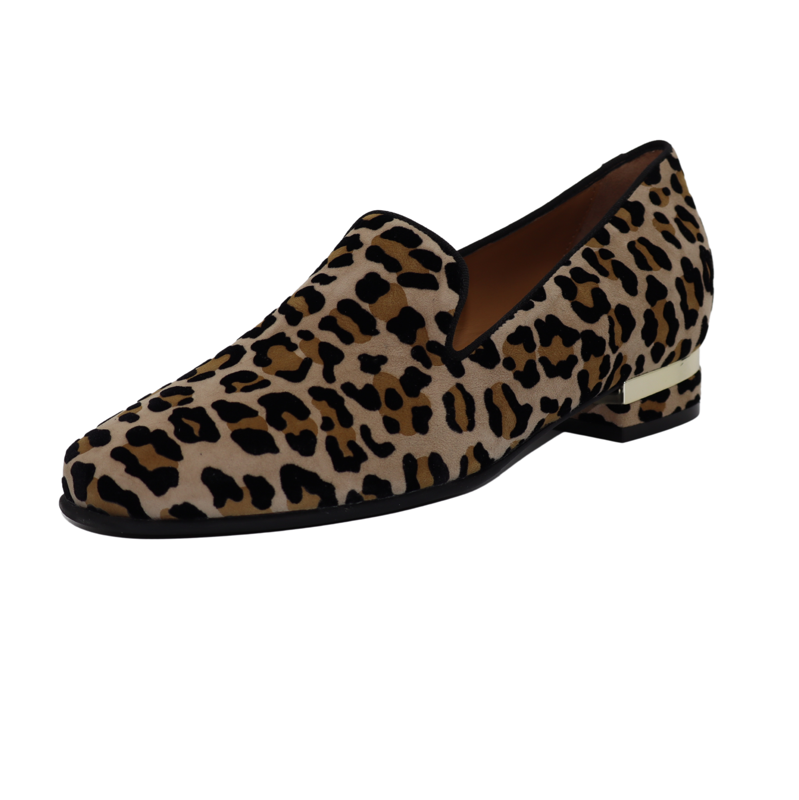 Mot Cle / 2165 - Animal