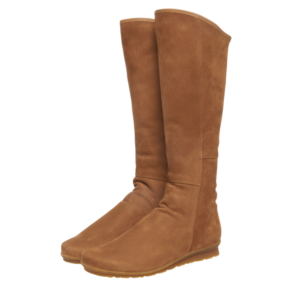 Arche / Barkya - Alezan