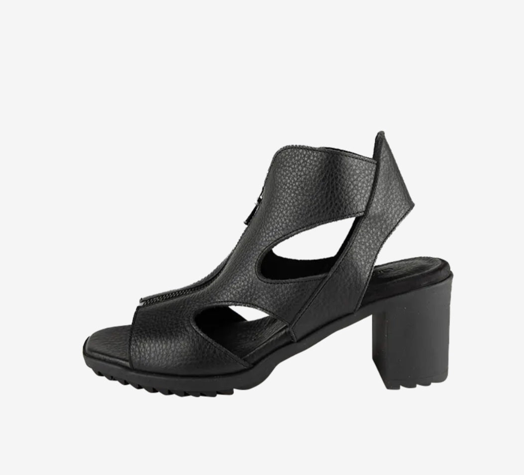 ARCHE / SHAZZY - Black